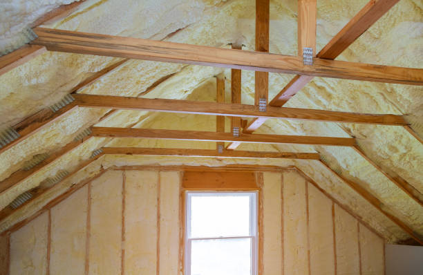 Best Spray Foam Insulation  in Capitan, NM