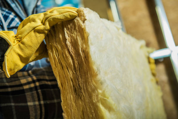 Insulation Repair Services in Capitan, NM